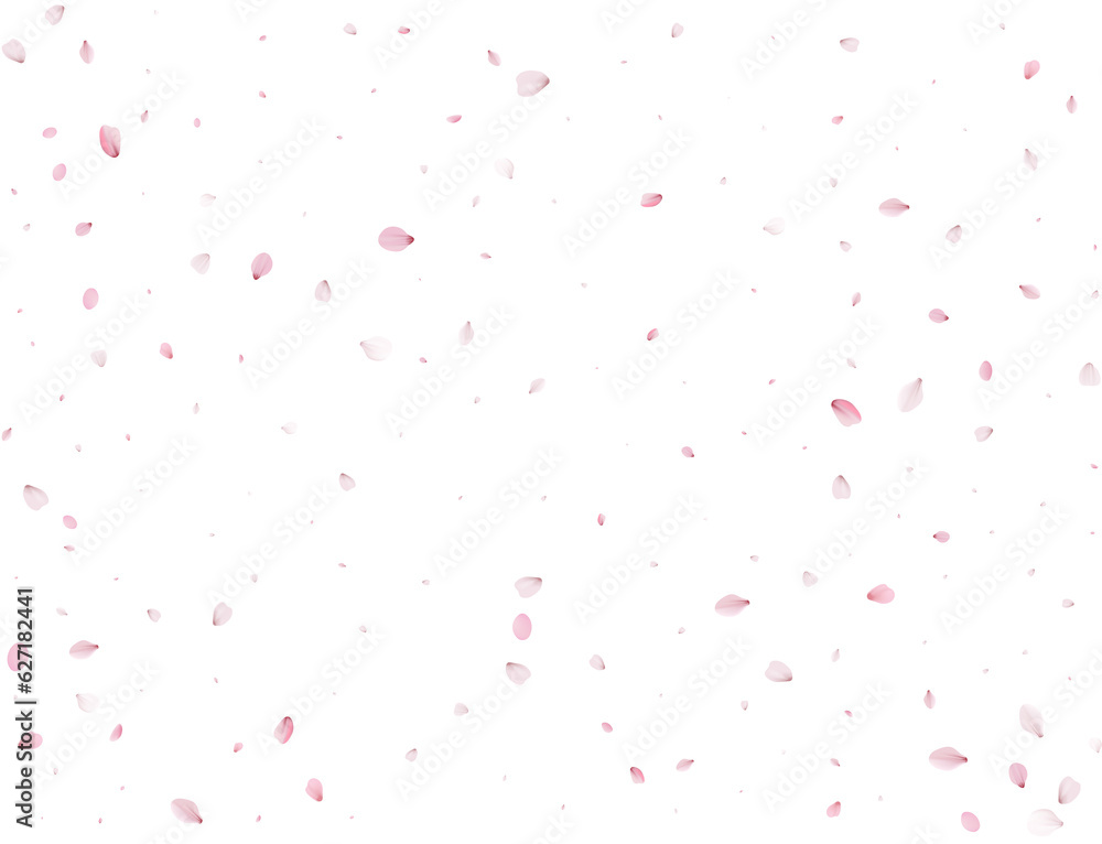 Spring Sakura Background. Spring Sakura Background.