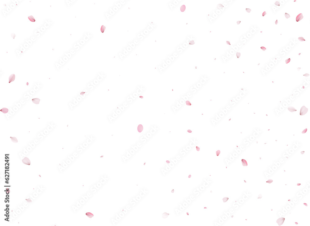 Spring Sakura Background. Spring Sakura Background.