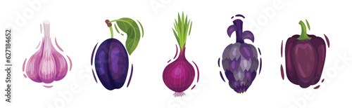 Purple Fruit and Vegetable with Garlic, Plum, Onion, Pepper and Artichoke Vector Set