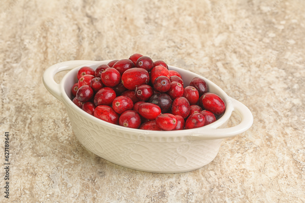Ripe sweet tasty cranberry in the bowl Ripe sweet tasty cranberry in the bowl