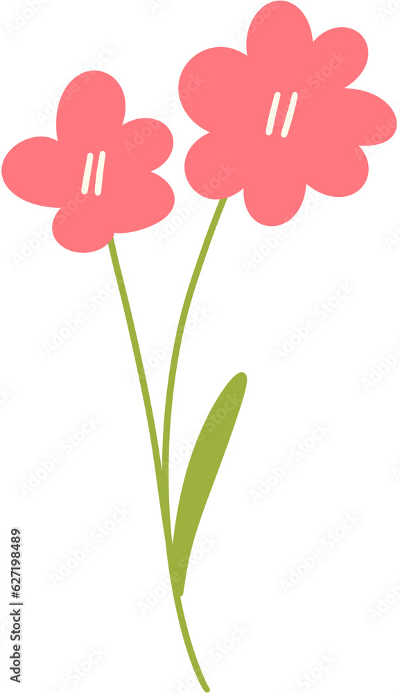 Flower pink Flower pink