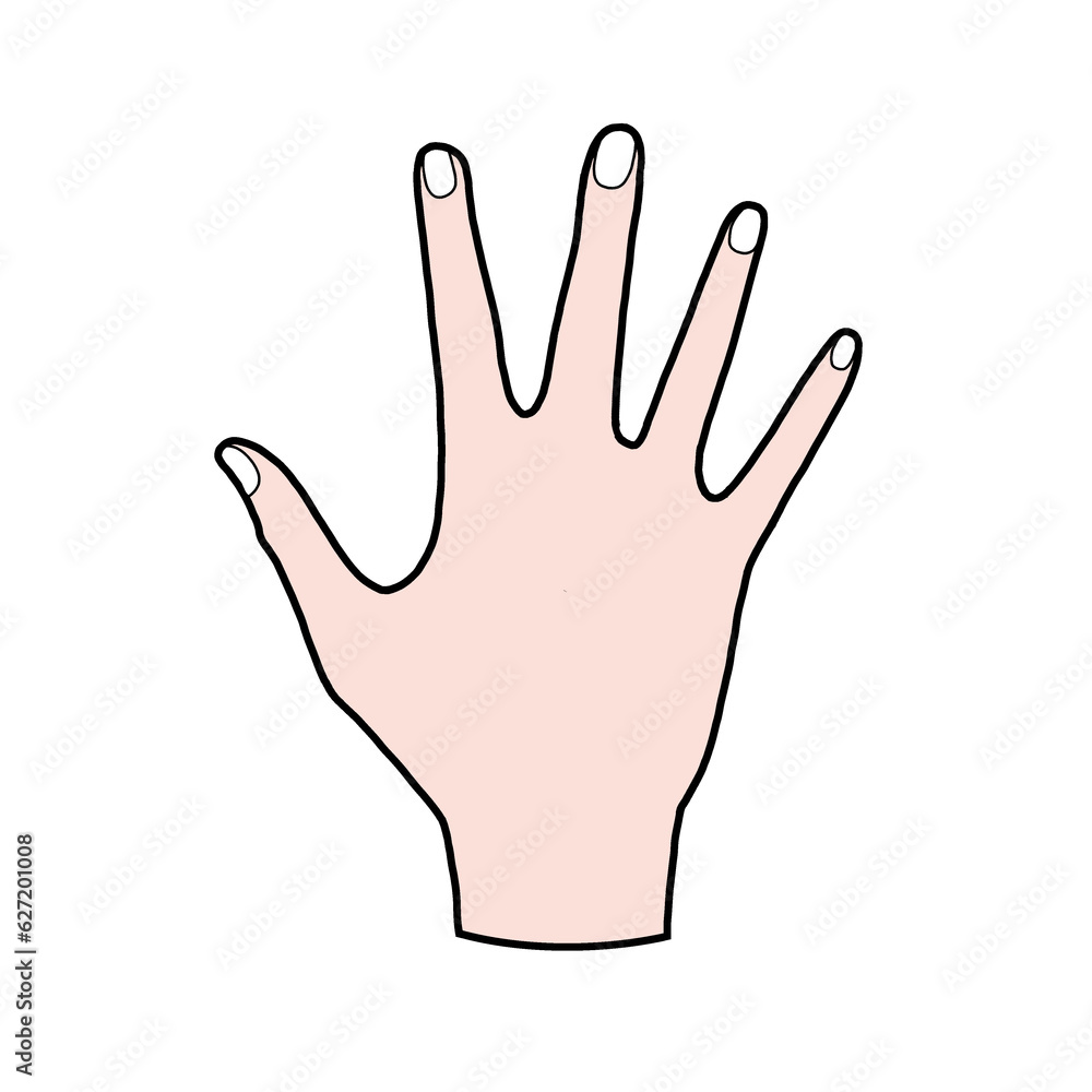 hand sign isolated on white hand sign isolated on white