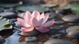 Light pink lotus flower on a beautiful stone. Generative AI