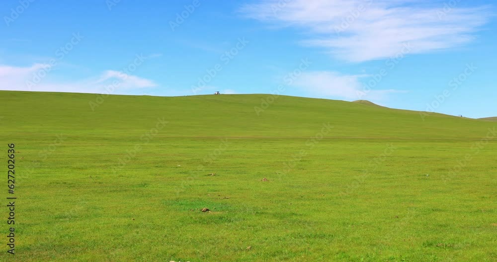 Hulunbuir Grassland, is a world famous natural pasture, is one of the world's four grasslands, known as the world's best grassland.