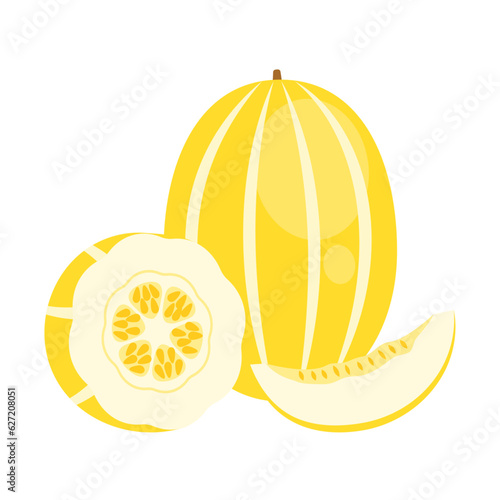 Yellow Korean melon whole fruit, slice and half isolated on white background. Cucumis melo, oriental melon, muskmelon or chamoe icon. Vector illustration of tropical exotic fruits in flat style.