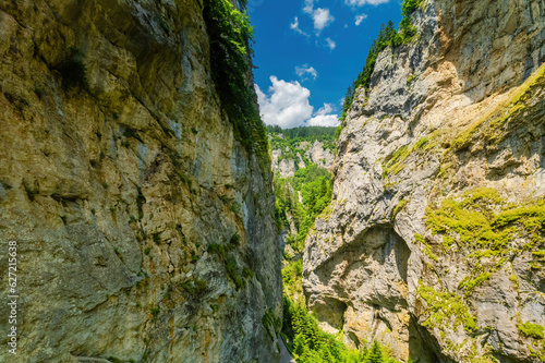 Trigrad gorge canyon of vertical marble rocks in rhodope mountains
