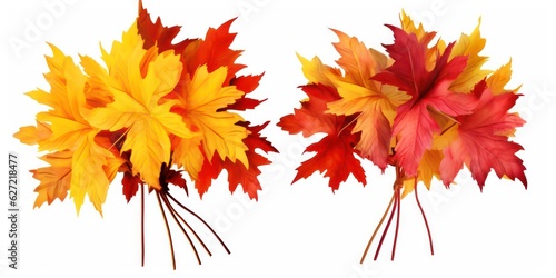 Set of two creative autumn bouquets of natural maple leaves of yellow  orange  red  burgundy flowers isolated on white background