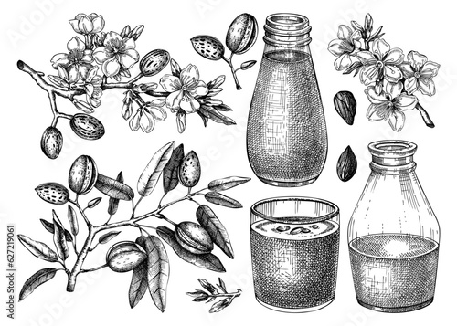 Almond milk set. Dairy products design elements. Plant milk in glass, bottle, almond nut, blooming branches with leaves and flowers sketches. Nut milk, healthy drink vector illustrations for packaging