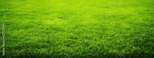 Wide format background image of a green carpet of neatly trimmed grass. Beautiful grass texture on green lawn in nature