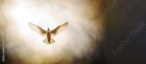 Winged dove with copy space, a representation of the New Testament Holy Spirit