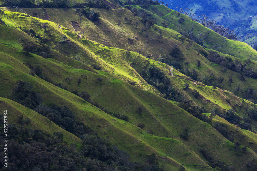 Fototapeta premium Green hills in Colombia