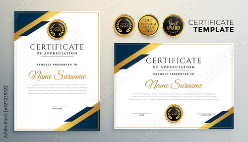 professional diploma certificate template in premium style