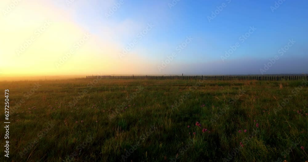Sunrise over Hulunbuir grassland.Hulunbuir Grassland, is a world famous natural pasture, is one of the world's four grasslands, known as the world's best grassland. Sunrise over Hulunbuir grassland.Hulunbuir Grassland, is a world famous natural pasture, is one of the world's four grasslands, known as the world's best grassland.