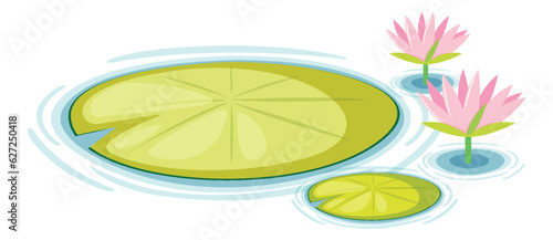 Water Lily Pads Vector