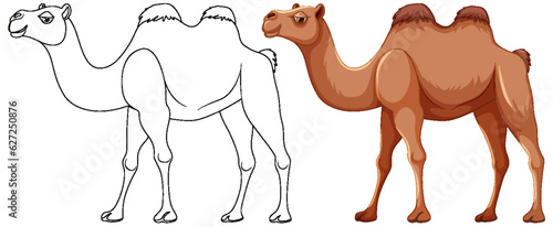 Camel Walking Outline