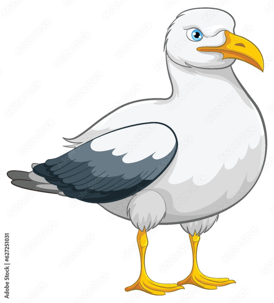 Seagull Standing Isolated Seagull Standing Isolated