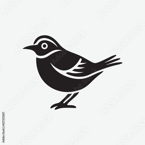 Bird vector illustration design