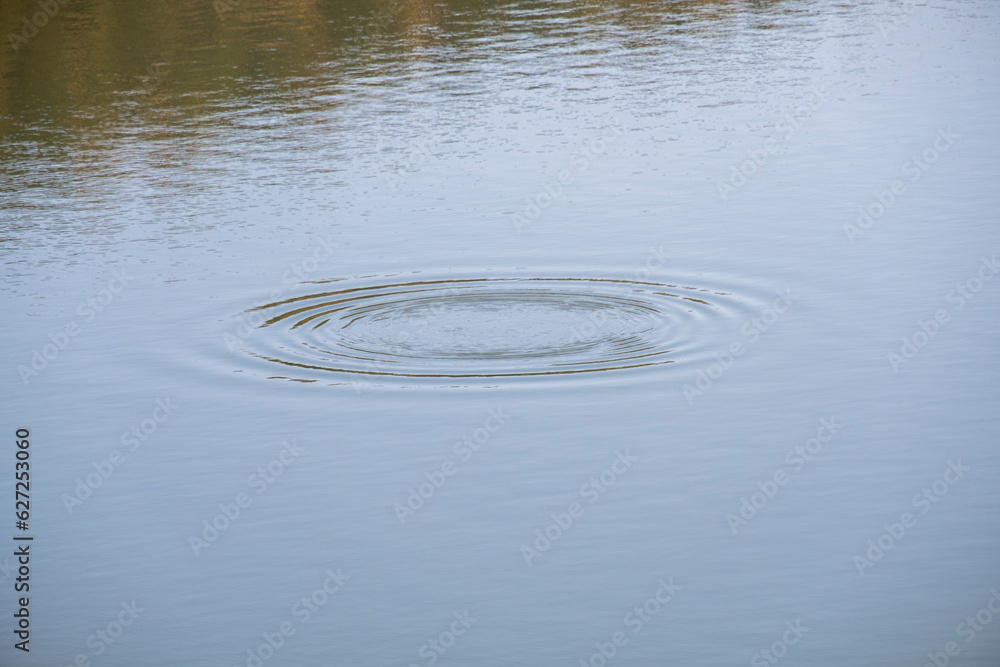 Round ripples from a dropped pebble spreading outwards on the clear lake water surface. Round ripples from a dropped pebble spreading outwards on the clear lake water surface.
