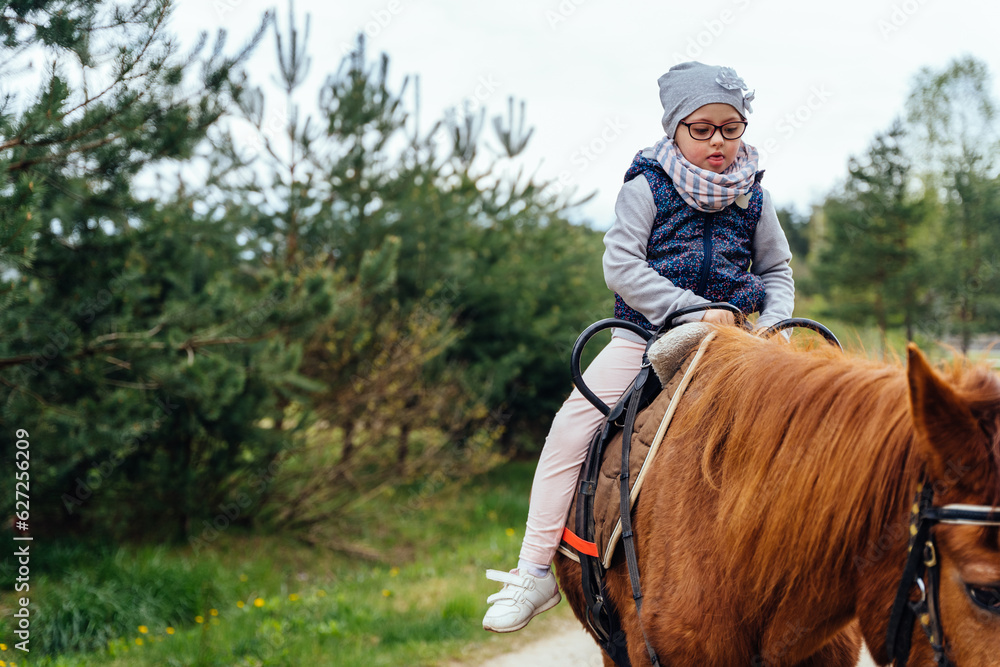 Little girl riding on a horseback. The girl is sitting on a horse . A ...