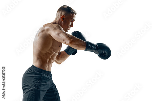 Strong half naked man in boxing pose isolated on white background © USM Photography