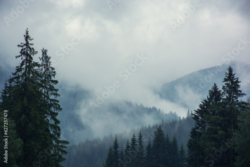 A cloudy morning in the mountains, fog descends from the peaks into the valley, a mystical landscape. High quality photo