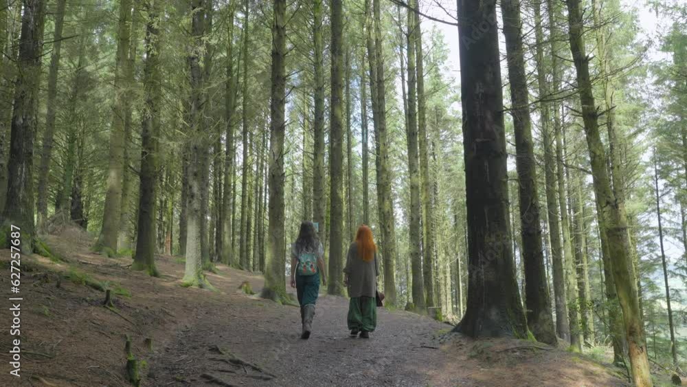 Two girls walking among tall pine trees in forest in summer at half speed slow motion. Sony FX30. Two girls walking among tall pine trees in forest in summer at half speed slow motion. Sony FX30.