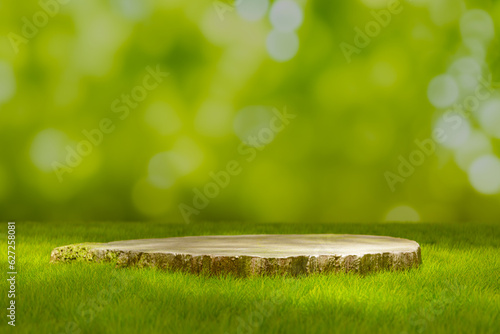 Fototapeta Product display podium background in forest with wooden pedestal on grass, 3d rendering