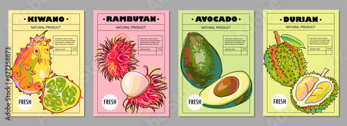 Set of templates with fruits for your product. Kiwano, rambutan, avocado, durian. Fruit posters, labels, covers, price tags, packaging. Cartoon style. Vector illustration.