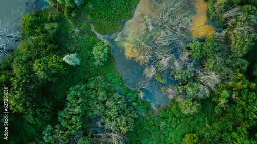 Aerial drone view over a swamp, from which protrude the trunks of dead trees. Marshland. Dead trees. The forest is dying. The camera flies low over the dead trees in the swamp. © nikkimeel