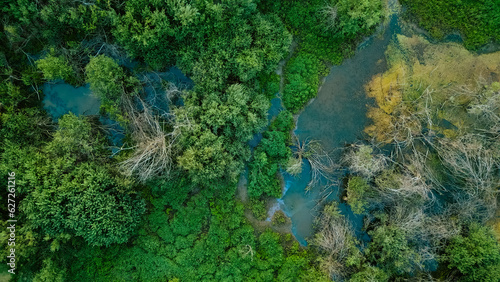Aerial drone view over a swamp, from which protrude the trunks of dead trees. Marshland. Dead trees. The forest is dying. The camera flies low over the dead trees in the swamp. © nikkimeel