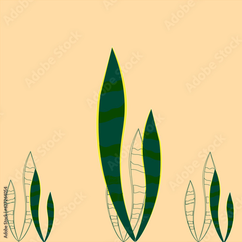 Planta