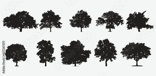Enchanting Arboreal Silhouettes  Captivating Tree Vector Collection for Every Creative Project