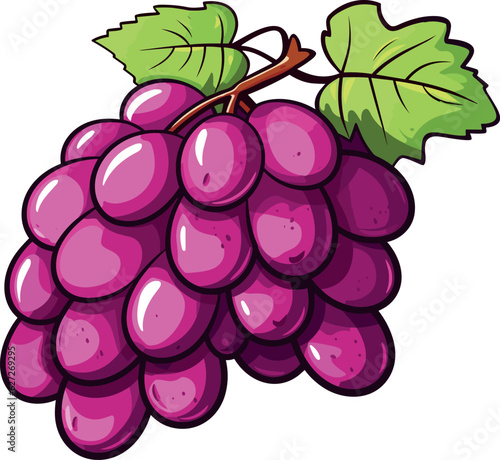 Bunch of grapes with leaves, isolated on white background, vector illustration.