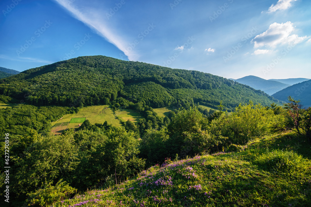 Gorgeous sunny mountain landscape with blue sky, meadows and flowers