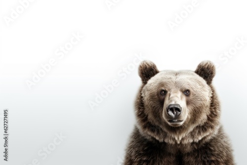 Bear on white background. space for text AI generative