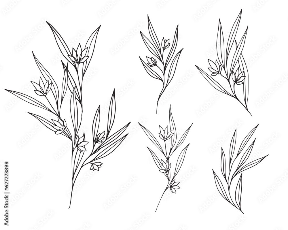 Set of premade botanical abstract line art composition and isolated elements with minimal flowers and branches. Vector illustration for wedding invitation, logo design and posters template, tattoo. Set of premade botanical abstract line art composition and isolated elements with minimal flowers and branches. Vector illustration for wedding invitation, logo design and posters template, tattoo.