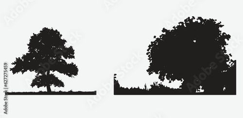 Embrace Nature's Majesty, Exquisite Collection of Silhouettes - Large Tree Vector Illustrations