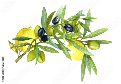 Hand drawn watercolor drawing, ripe black olives with olive leaves on a white background. lemon. Organic food, oil. Separate elements for the design of postcards, packaging and paper. photo