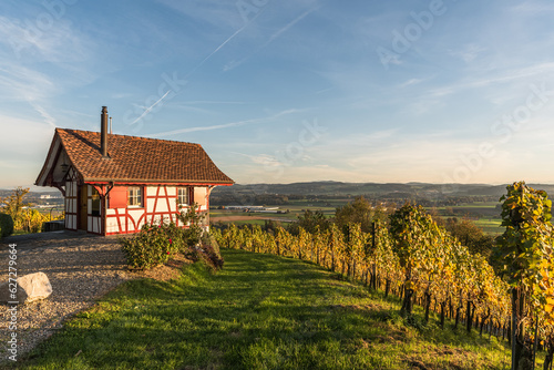 Cottage in the vineyards in evening light, autumn atmosphere, Canton Thurgau, Switzerland (photographed from public space) photo