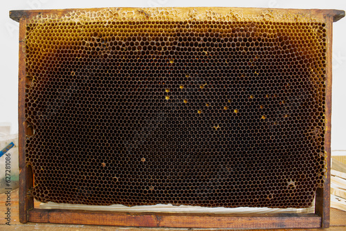 Dark frame with honeycombs. Old beehive for recycling.