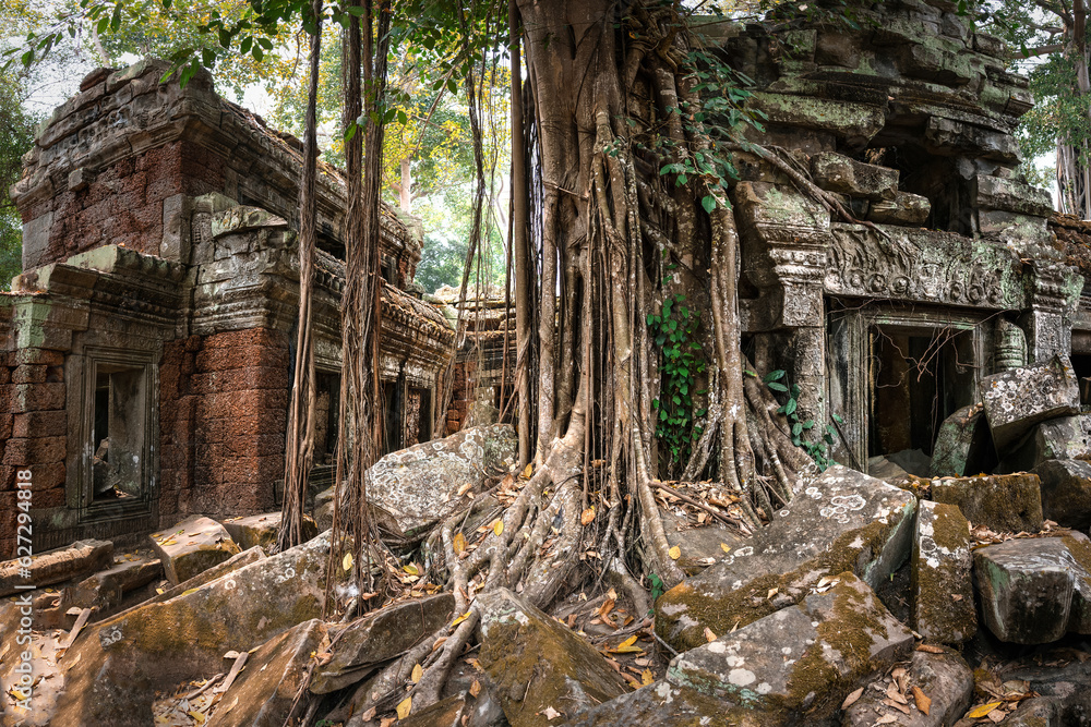 Jungle temple, ancient stone gates and tree roots. Angkor Wat complex, Siem Reap, Cambodia travel destinations. Jungle temple, ancient stone gates and tree roots. Angkor Wat complex, Siem Reap, Cambodia travel destinations.