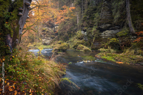 Kamnitzklamm im Herbst