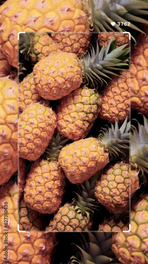 Vertical video social media format – Close-up of a whole fresh pineapple with attached leaves. Vertical video social media format – Close-up of a whole fresh pineapple with attached leaves.
