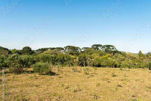 A view of the Parque Natural Municipal da Ronda (Ronda Municipal Natural Park) in Sao Francisco de Paula, South of Brazil