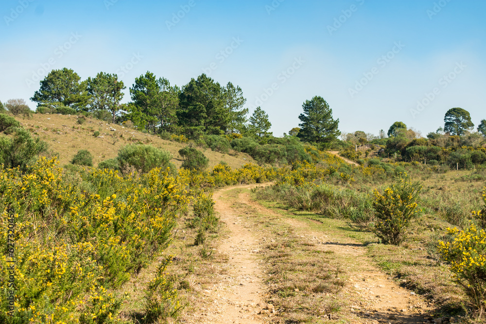 Dirt road at Ronda Municipal Park in Sao Francisco de Paula, South of Brazil