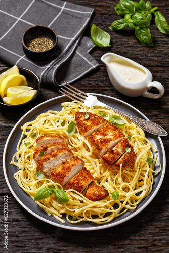 crusted chicken over lemon butter pasta, top view photo