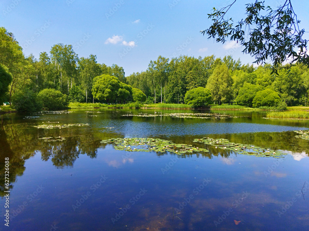 Beautiful lake in forest park. Summer landscape of nature with clear, transparency water and  blue sky. Scenic view of pond shore with trees, aquatic plants, green grass and white water lilies.