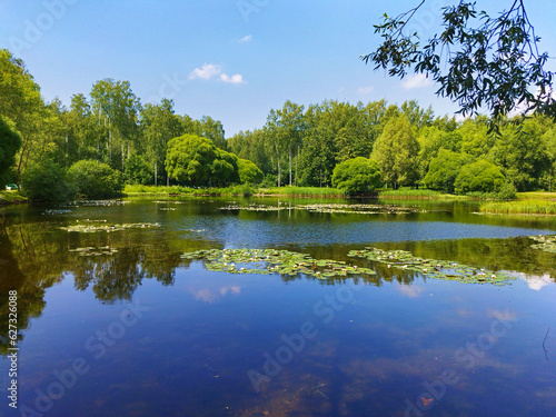 Beautiful lake in forest park. Summer landscape of nature with clear, transparency water and  blue sky. Scenic view of pond shore with trees, aquatic plants, green grass and white water lilies.