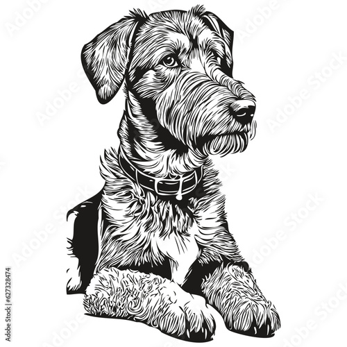Airedale Terrier dog hand drawn logo drawing black and white line art pets illustration realistic breed pet