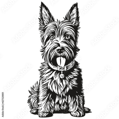Scottish Terrier dog realistic pet illustration, hand drawing face black and white vector